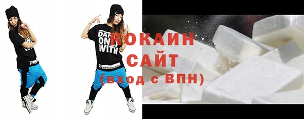 прущие грибы Алагир