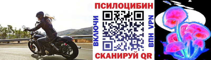 Псилоцибиновые грибы Psilocybe  Камызяк 